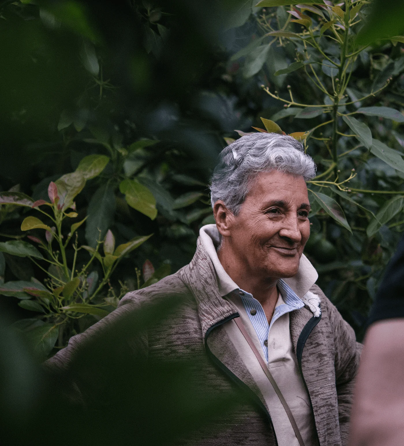 Colombia Amparo Maya - Image 4