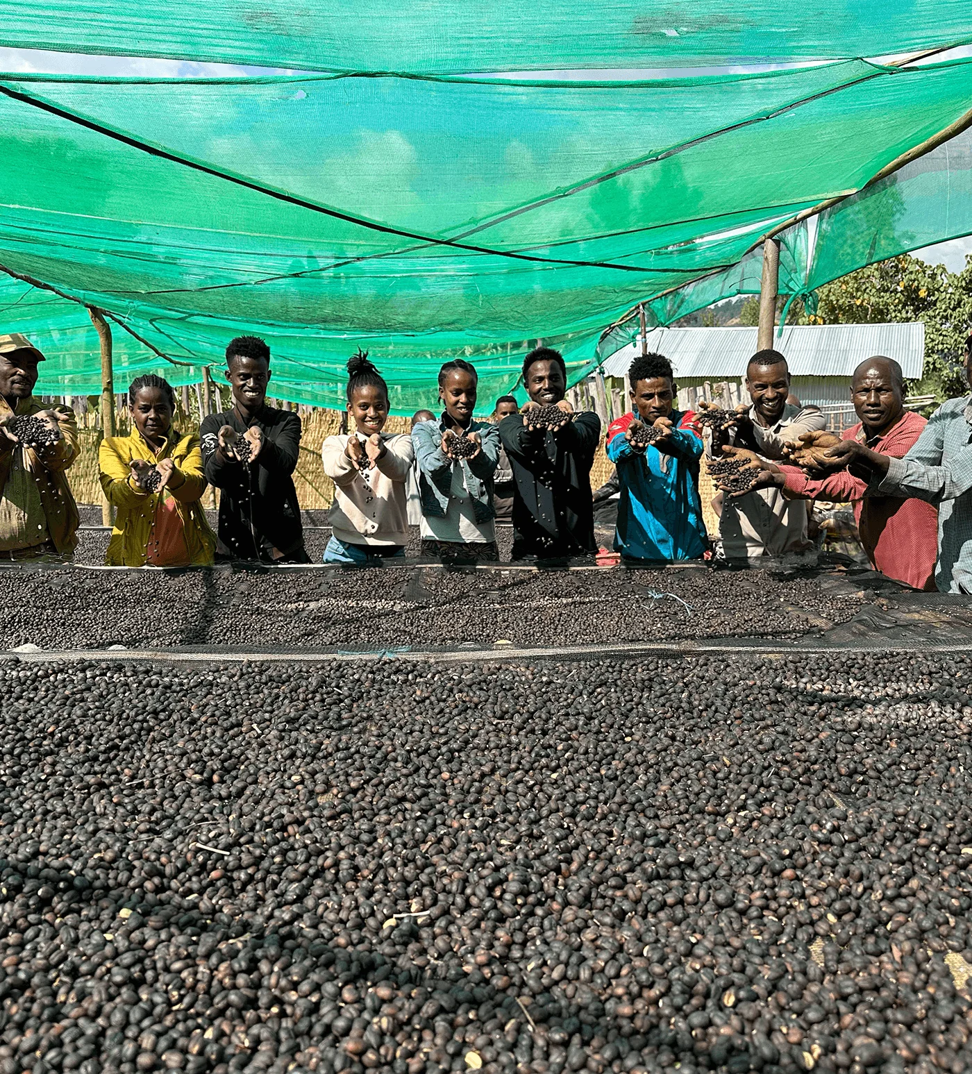 Archive: Ethiopia Bekele Belaycho Natural - Image 4