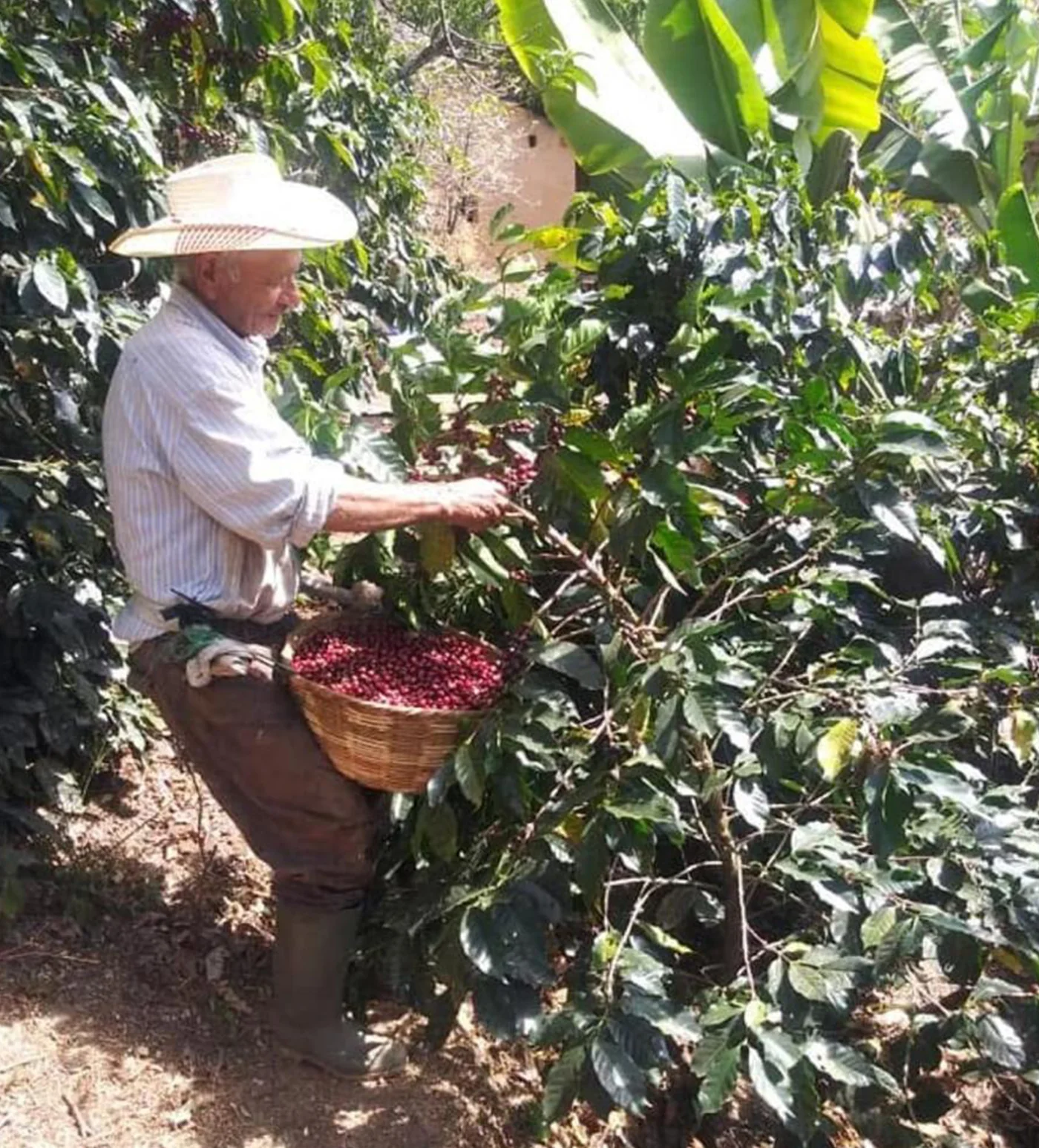 Archive: El Salvador Benjamin Garcia - Image 3