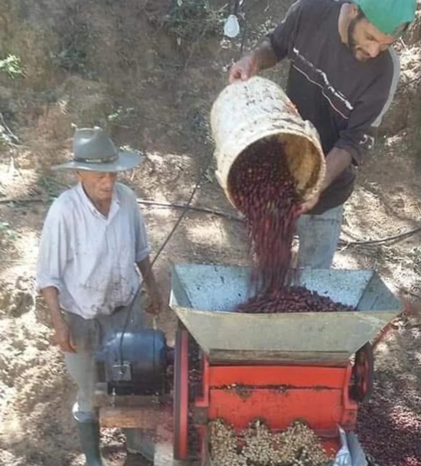 Archive: El Salvador Benjamin Garcia - Image 4