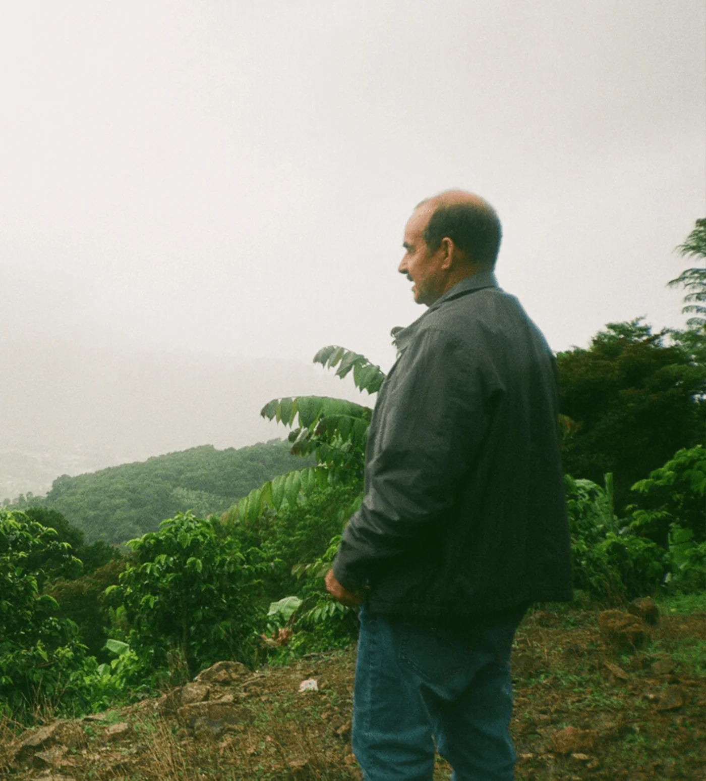 Costa Rica Don Cayito Typica Mejorado White Honey Farmlevel Reserve - Image 3