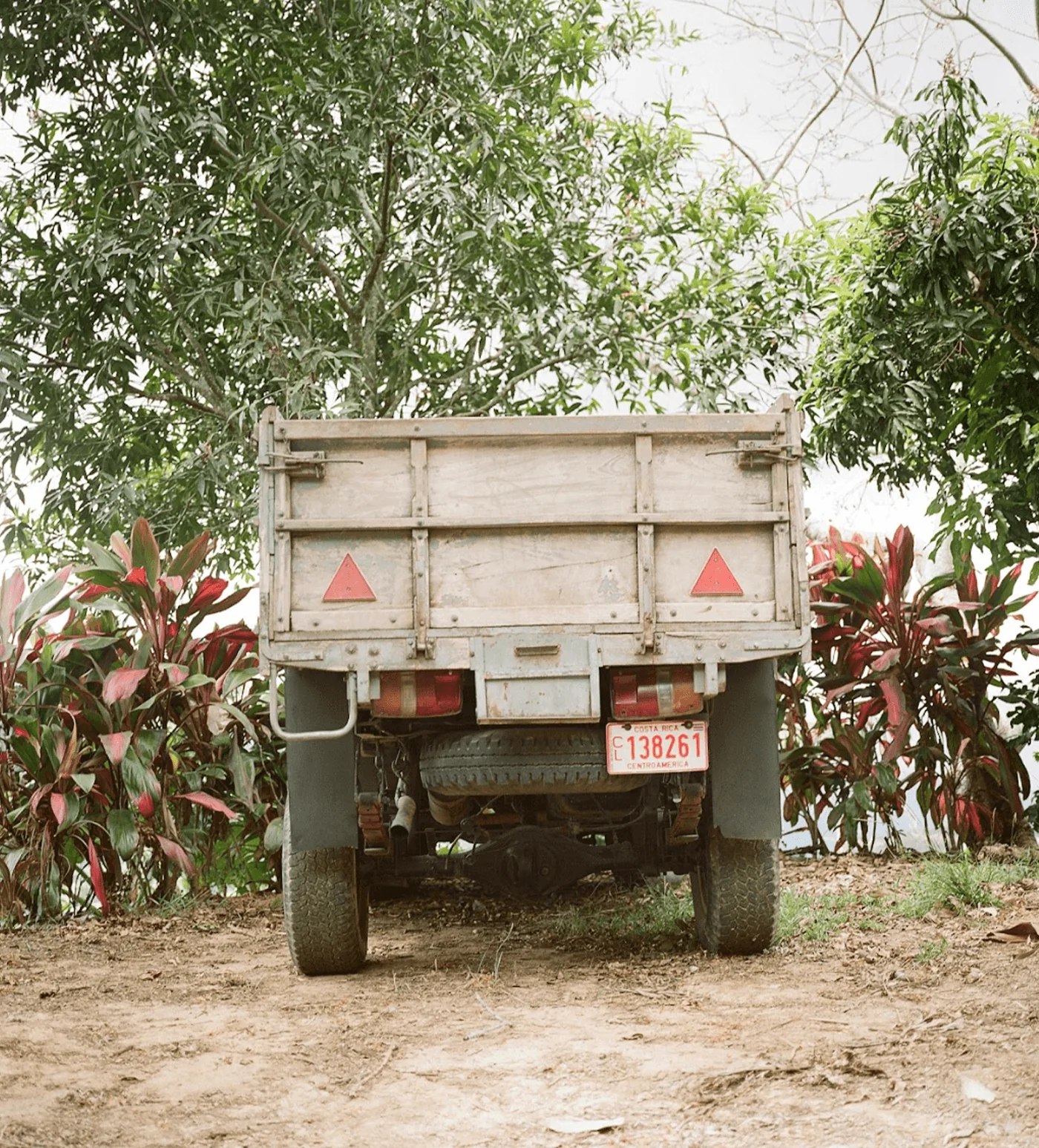 Costa Rica El Yasal - Image 4