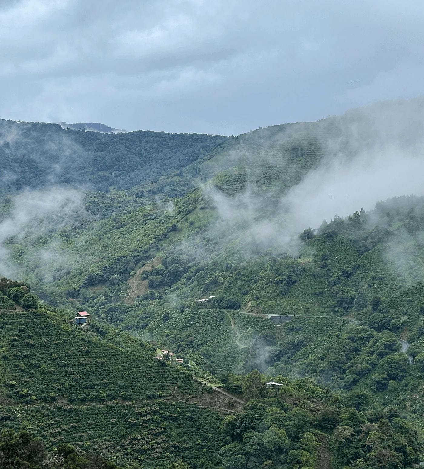 Archive: Costa Rica Esperanza - Image 4