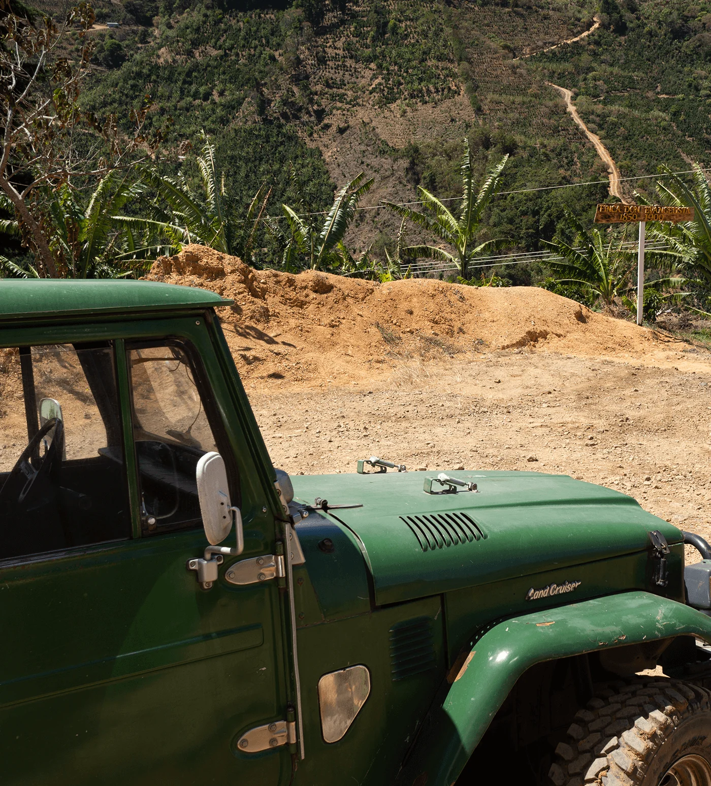Archive: Costa Rica Finca Macho - Image 3