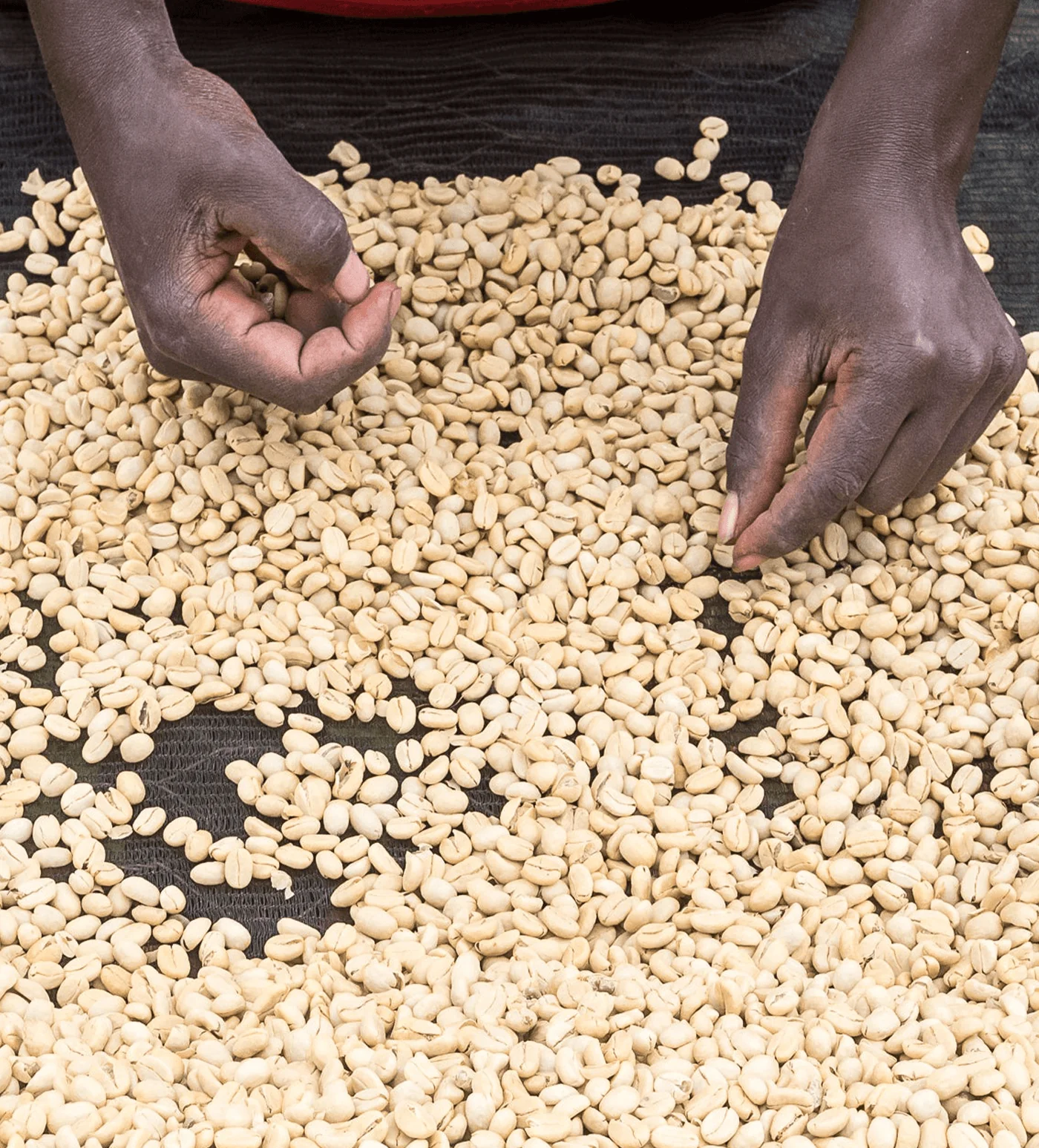 Kenya Gichathaini - Image 4