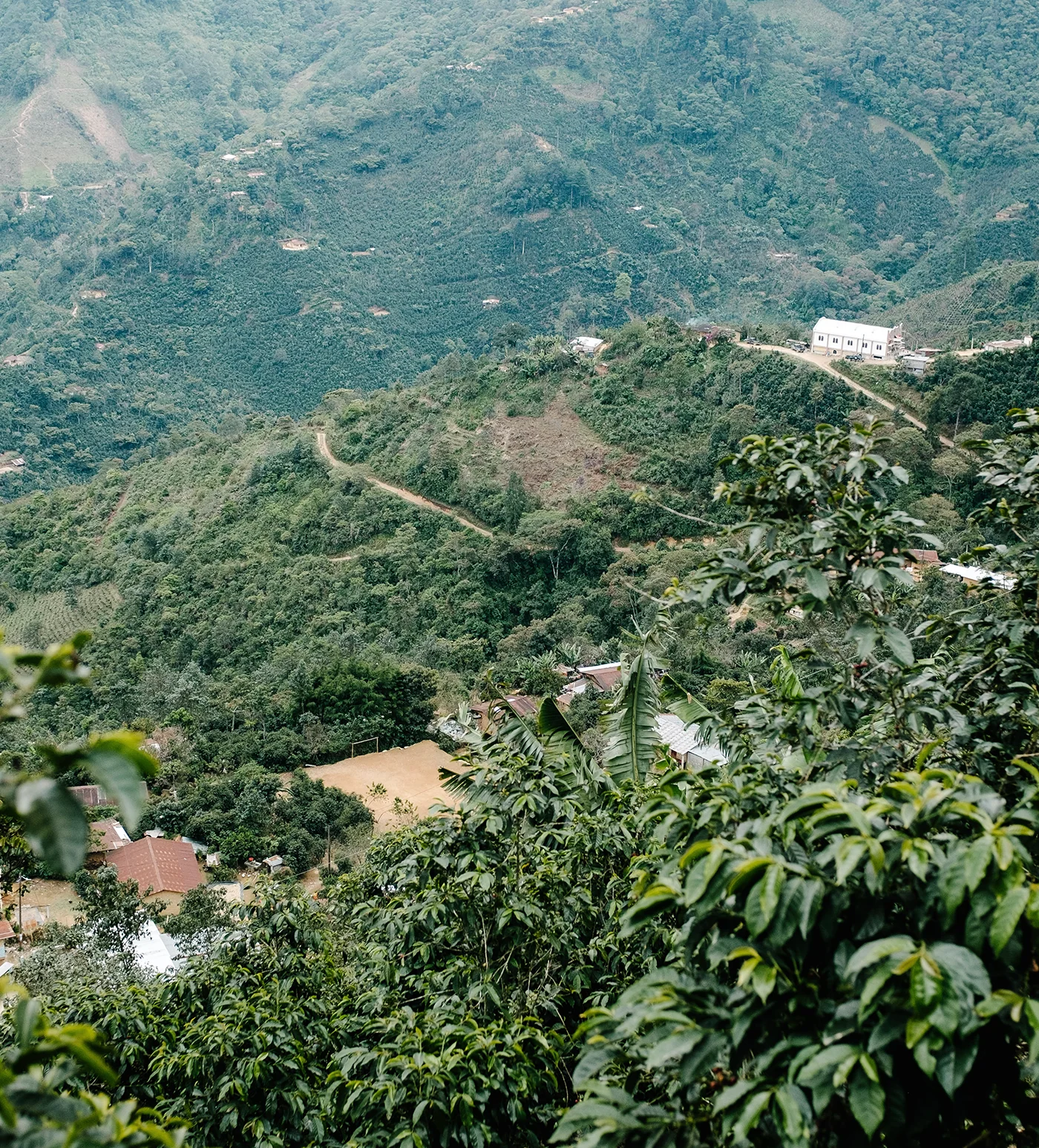 Guatemala Hunapu - Image 3