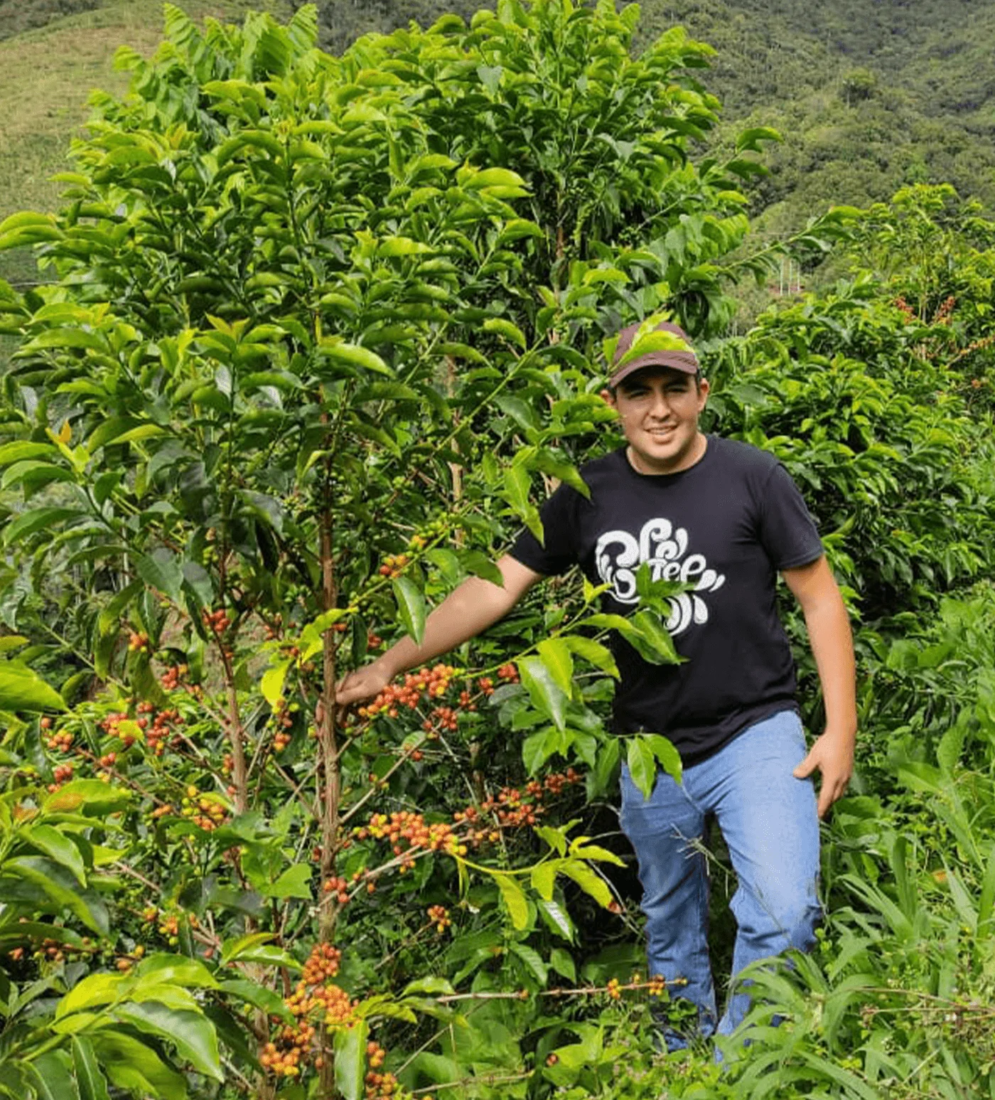 Colombia Jhoan Vergara Chiroso Farmlevel Reserve - Image 3