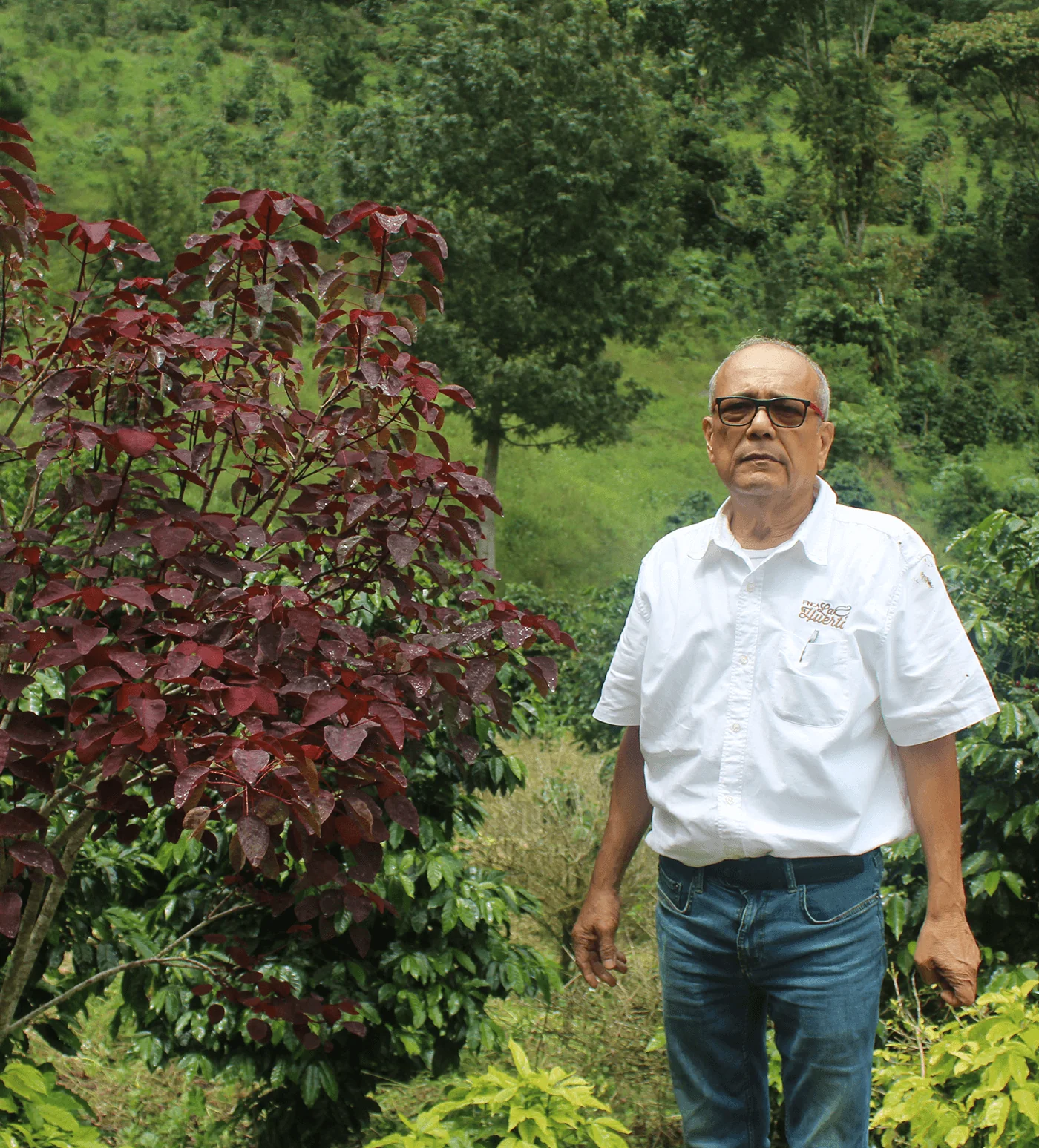 Archive: Honduras Jorge Lanza - Image 3