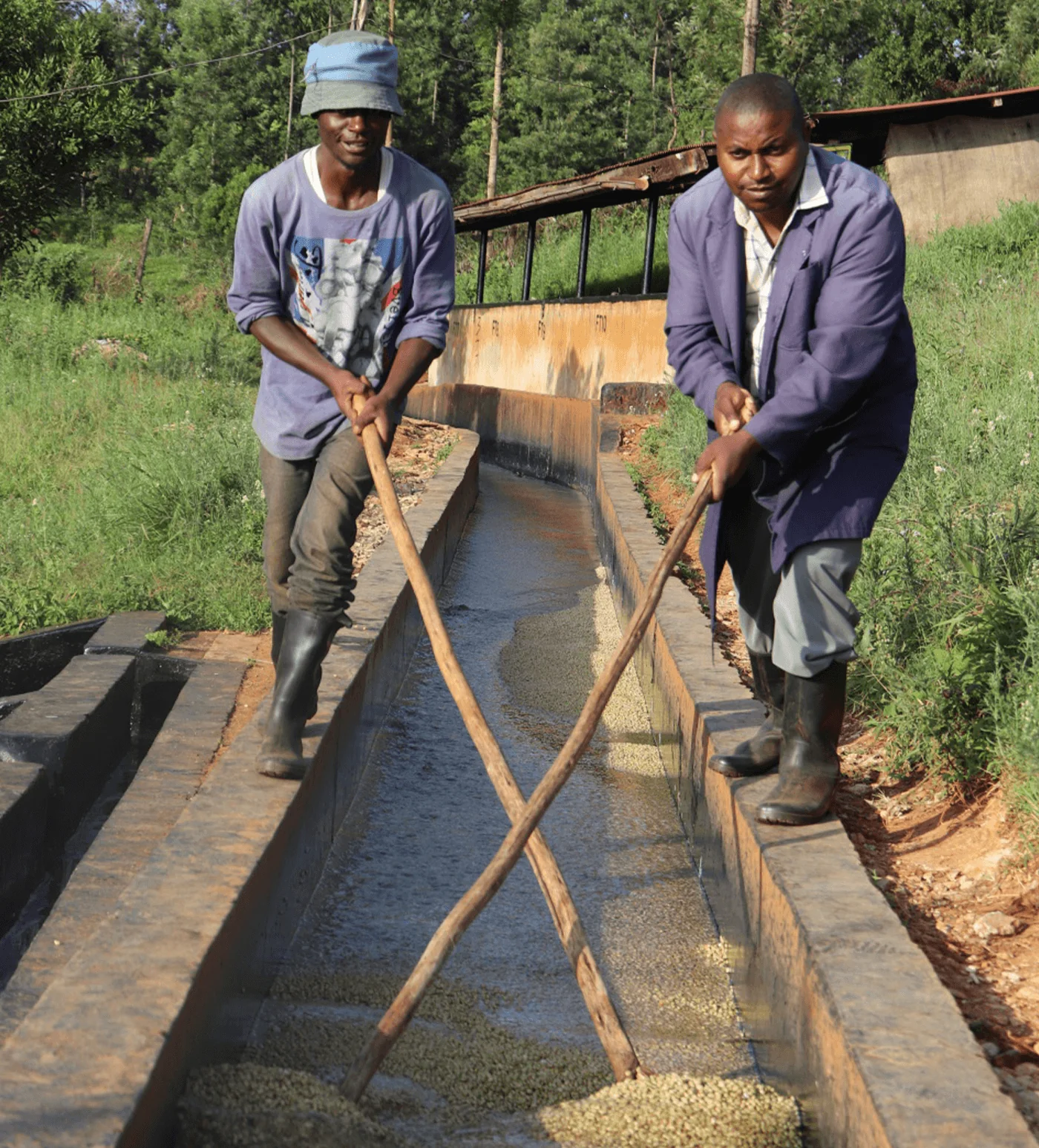 Archive: Kenya Kamwangi - Image 3