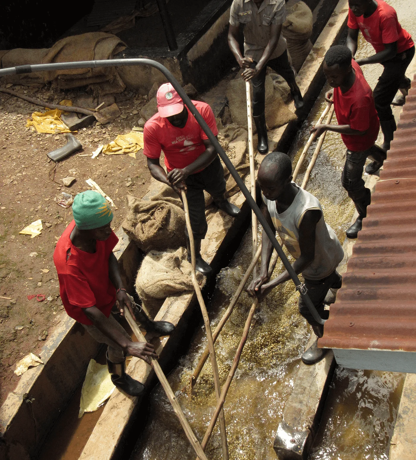 Archive: Kenya Kangocho - Image 4