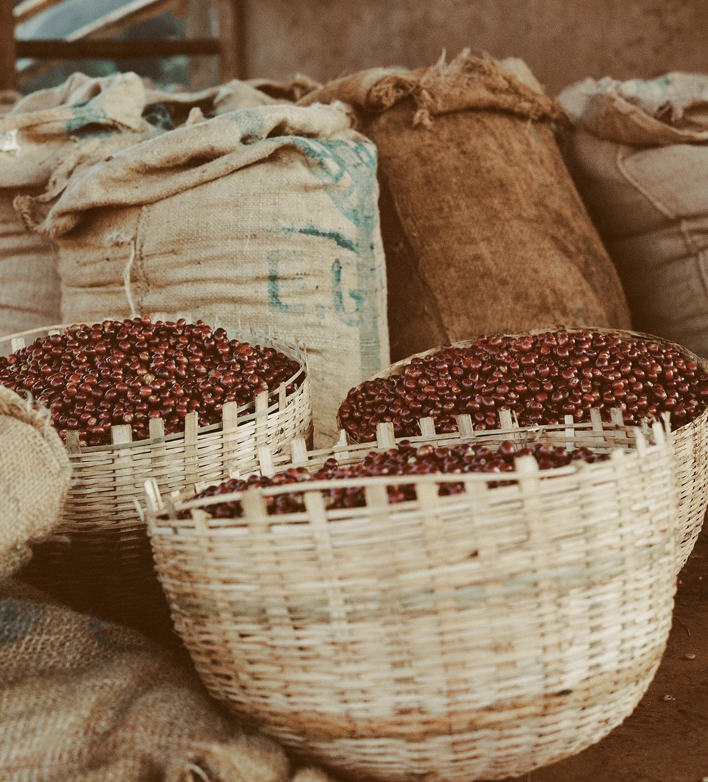 Archive: Ethiopia Kayon Mountain - Image 4