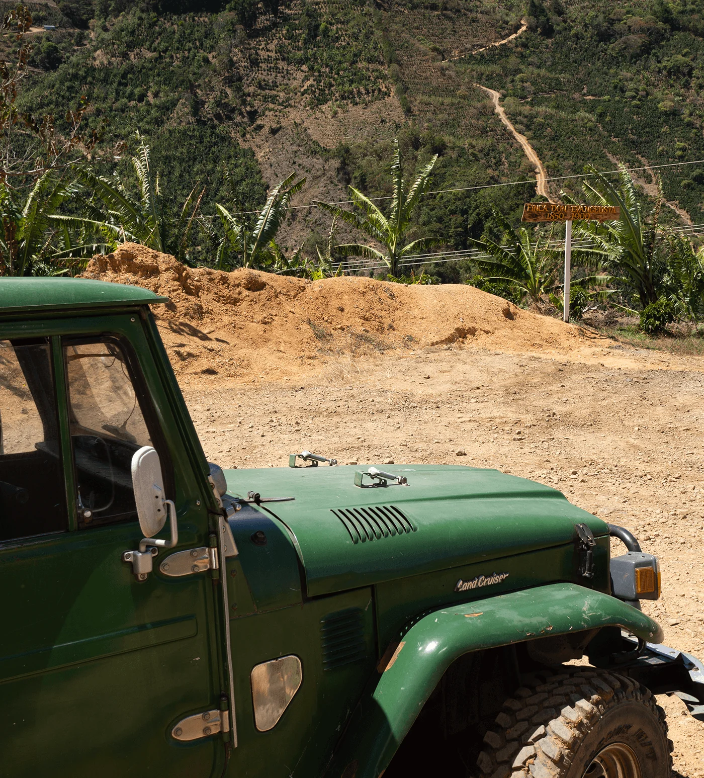 Archive: Costa Rica La Obediencia Espresso - Image 3