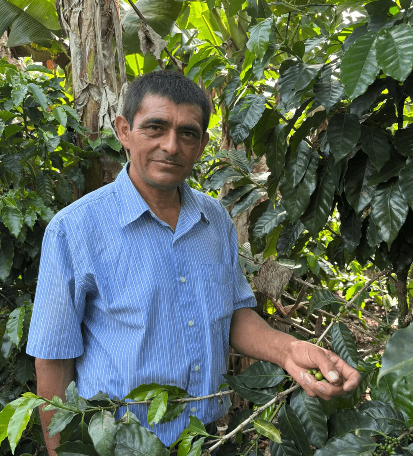 Archive: Honduras Leonicio Castellon - Image 3