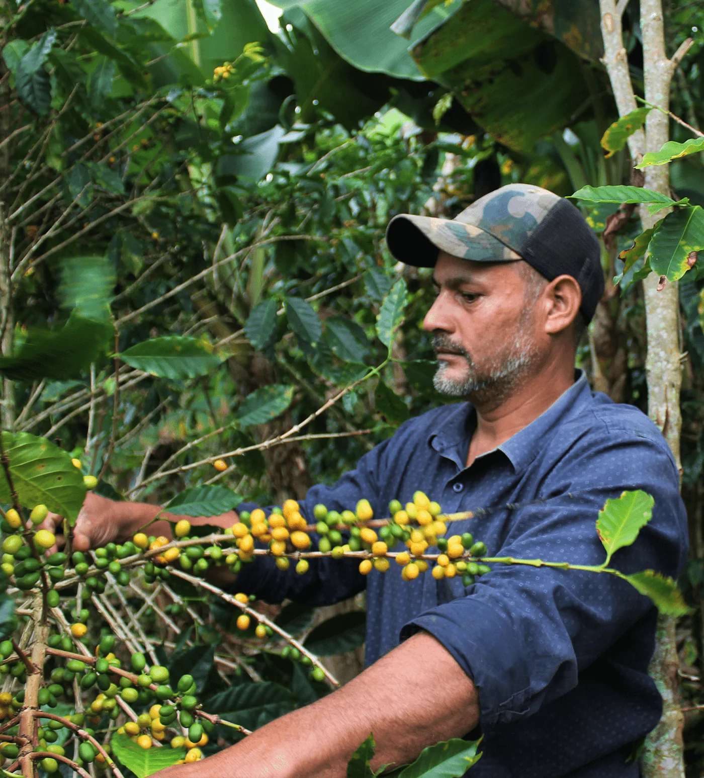 Archive: Honduras Martir Fernandez - Image 4