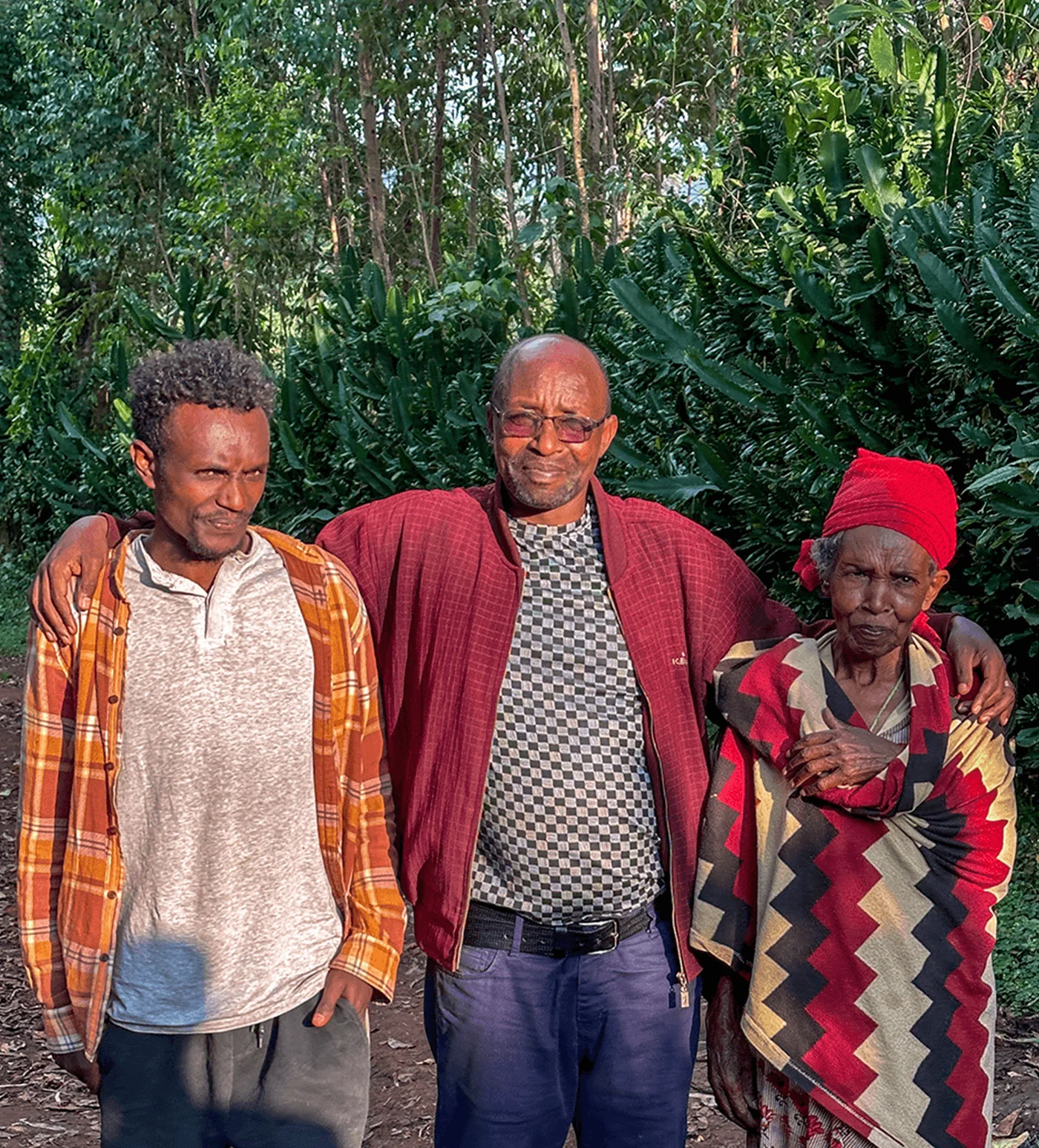 Archive: Ethiopia Mate Matiwos Natural - Image 3