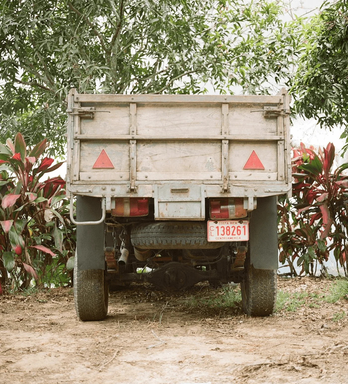 Archive: Costa Rica Montes de Oro - Image 4