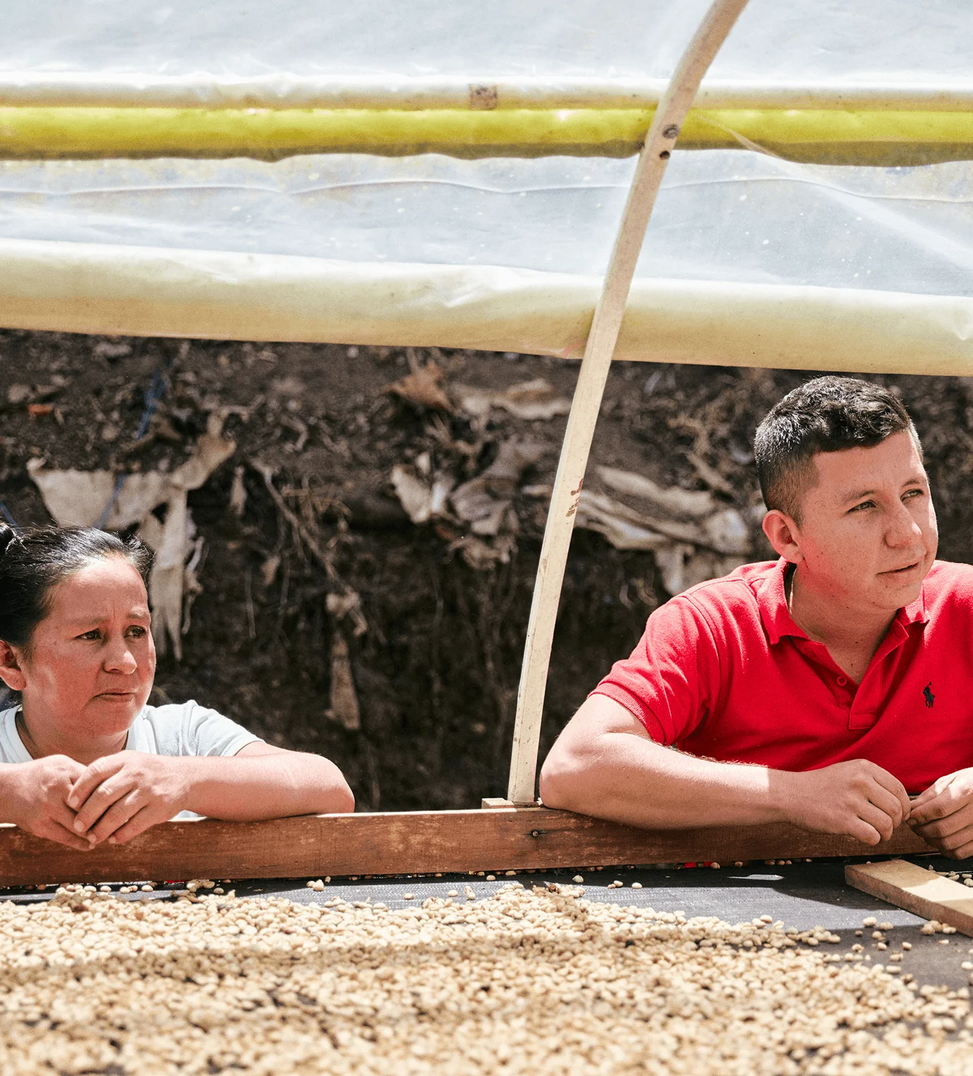 Colombia Mujeres De Cafe - Image 3