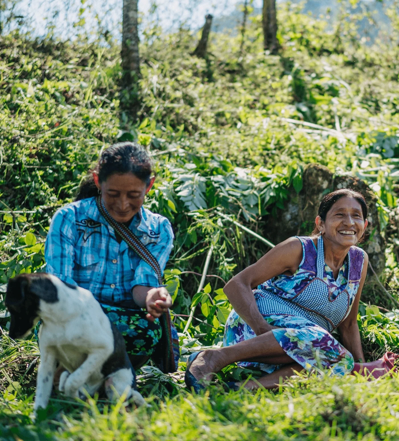 Archive: Guatemala Mujeres de Huehue - Image 5