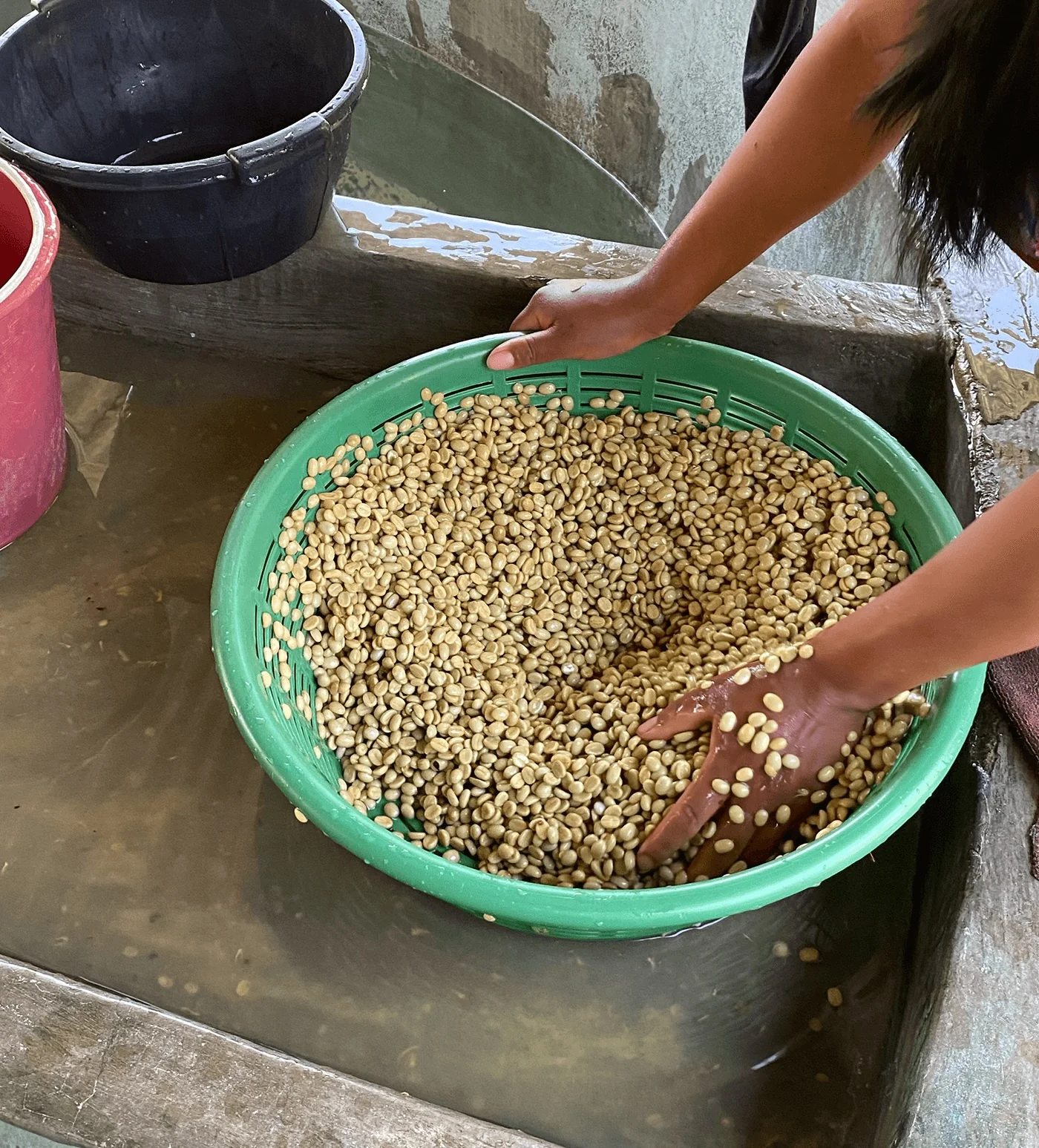 Archive: Guatemala Petrona Perez - Image 3
