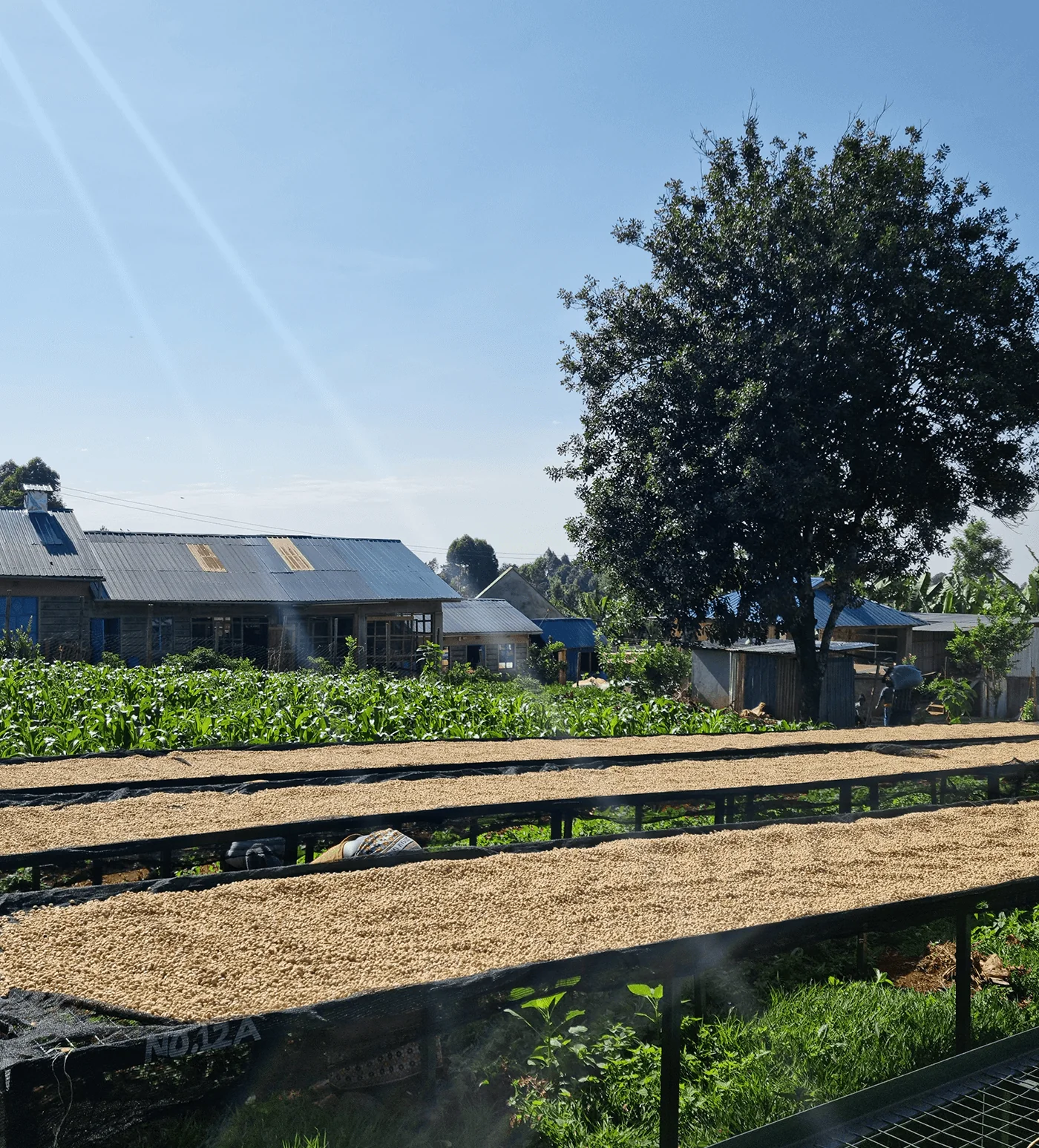 Archive: Kenya Privam Estate - Image 5
