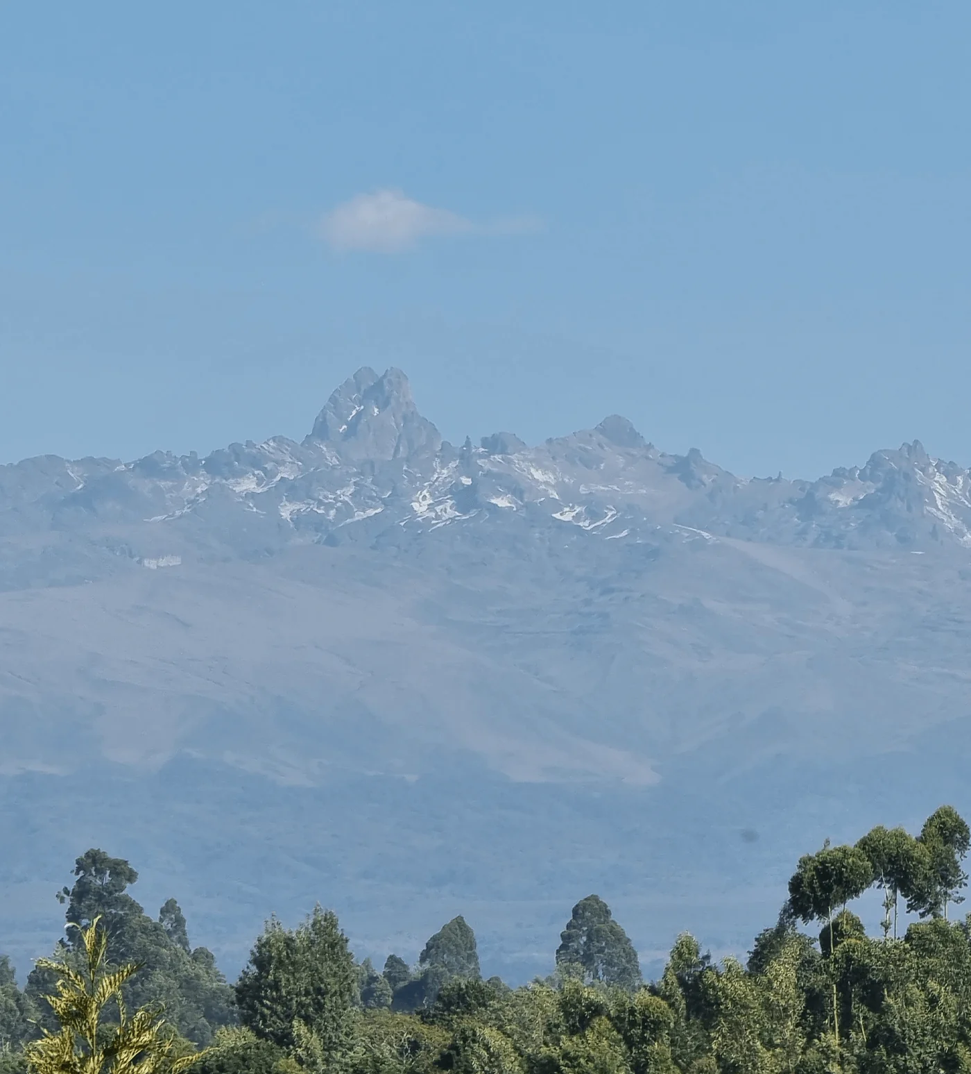 Archive: Kenya Privam Estate - Image 7
