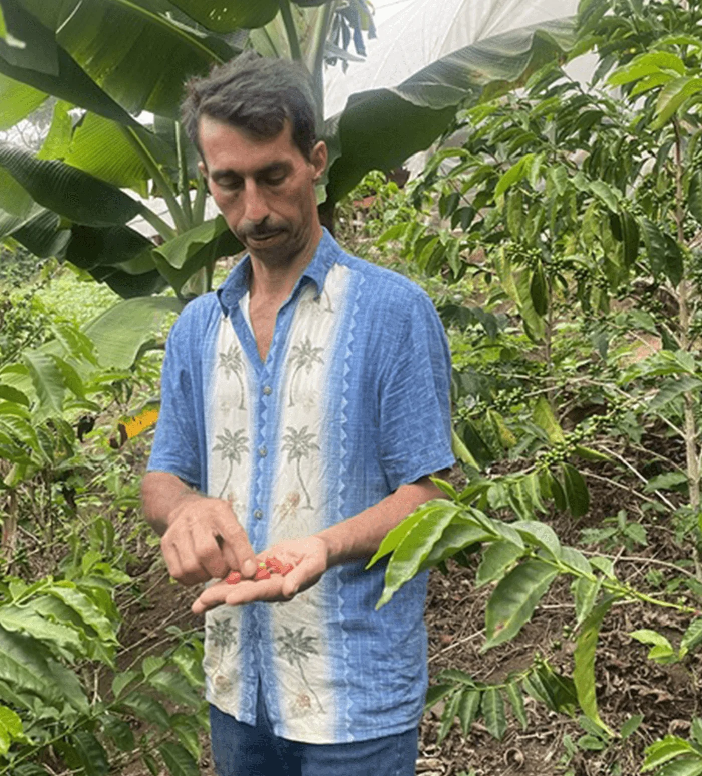 Archive: Honduras Roberto Sabillón Anaerobic Pacas - Image 4