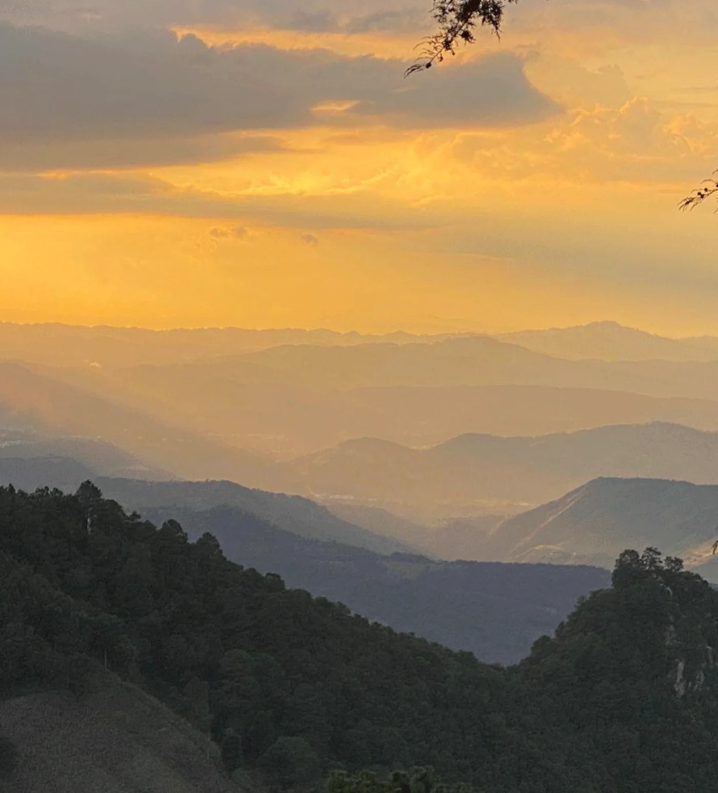 Archive: Guatemala Sierra de las Minas - Image 6