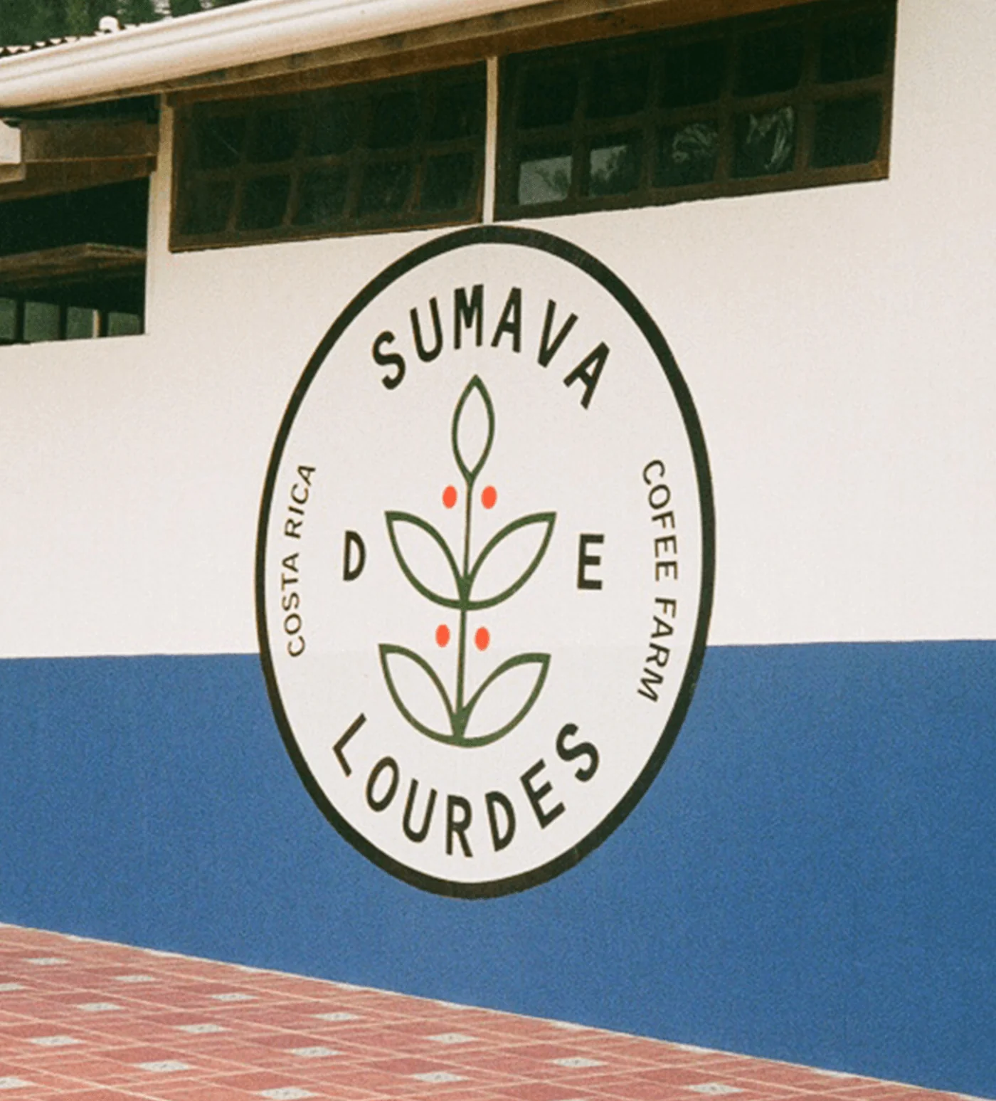 Archive: Costa Rica Sumava Lactico - Image 3
