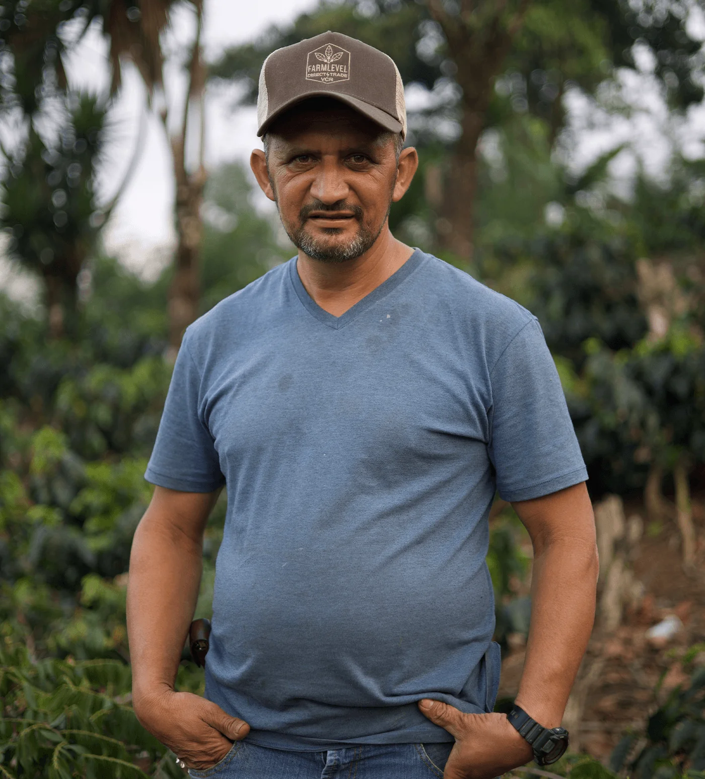 Honduras Yojoa SL28 - Image 4